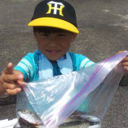 サビキで楽しめました！