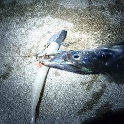 ランガン刀狩り