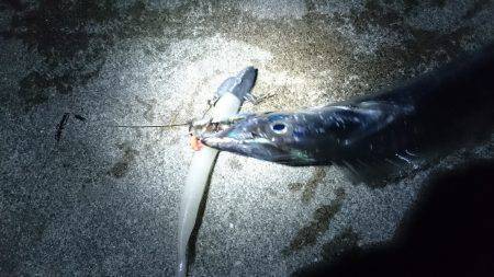 ランガン刀狩り