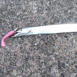 やっぱり夏太刀