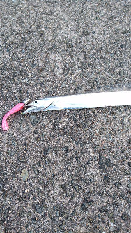 やっぱり夏太刀