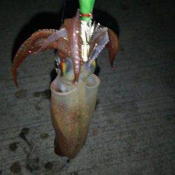 パターンを見つけて連発！