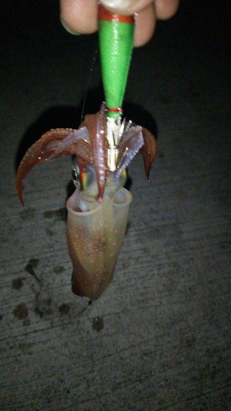 パターンを見つけて連発！