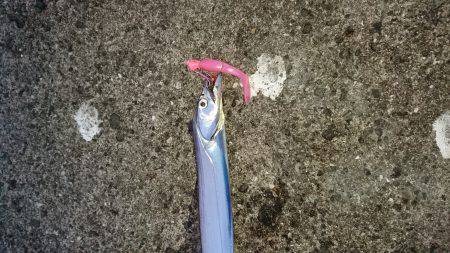 夏太刀は続いているのか？