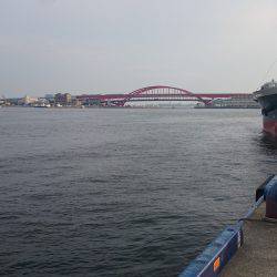 太刀魚渋かった