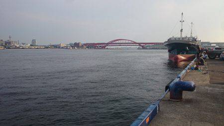 太刀魚渋かった