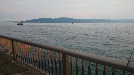 夏のサヨリ釣り！