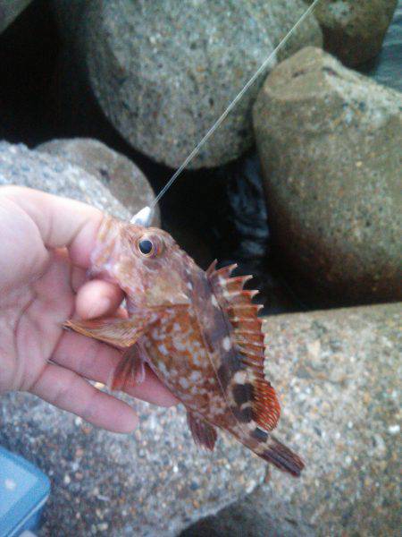 テキサスリグにて…