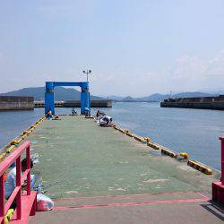 田ノ浦で良サイズのイワシ