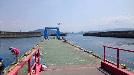 田ノ浦で良サイズのイワシ