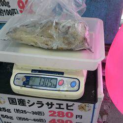 今週も夏イカまたまたゲット