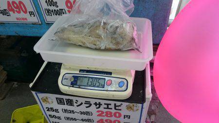 今週も夏イカまたまたゲット