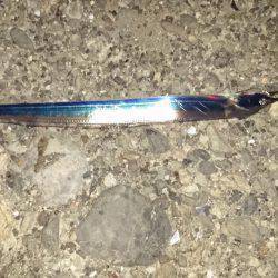 釣れるが小さい