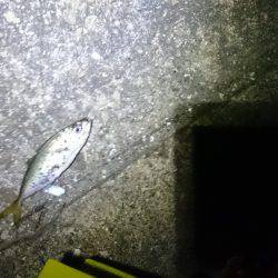 どっちもどっち