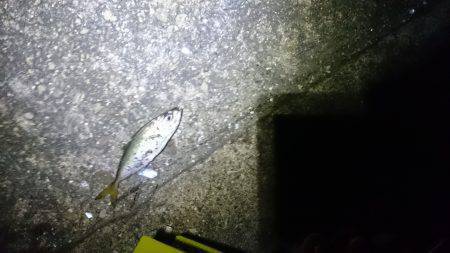 どっちもどっち