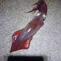 渋かったです。