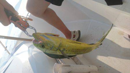 スロジギ&キャスティング