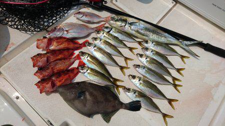 沼島沖タイラバ