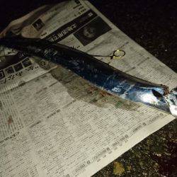 暑い中でも夏タチ