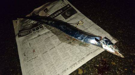 暑い中でも夏タチ