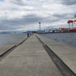 タチウオ　ジギング