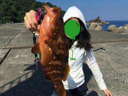 グルーパーゲーム