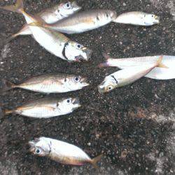 これからって時に…。