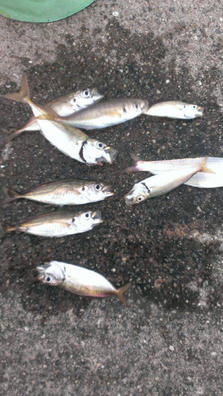 これからって時に...。