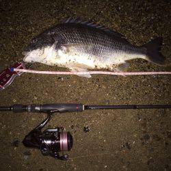 キビレ調査　ＮＯ，７