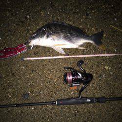 キビレ調査 NO,8