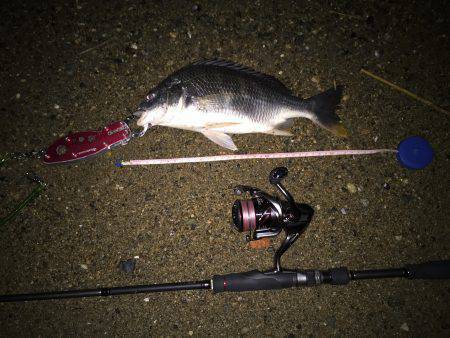 キビレ調査 NO,8