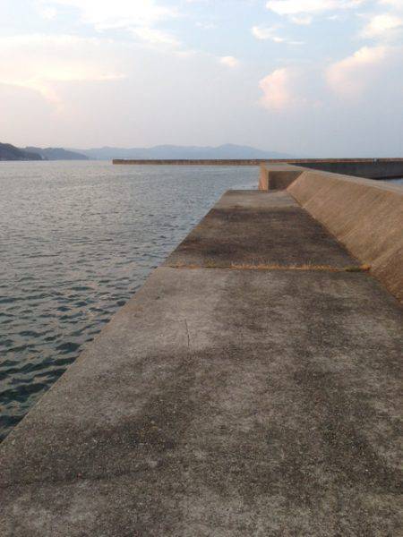 港で初タコング!