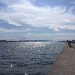 ドラゴンが来たよ