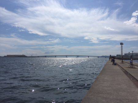 ドラゴンが来たよ