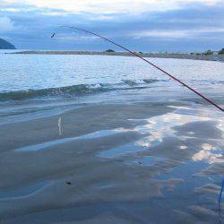 投げ釣りシロギス