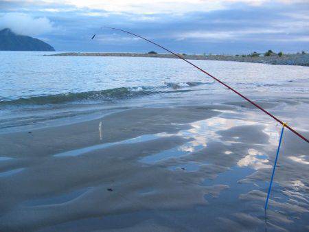 投げ釣りシロギス