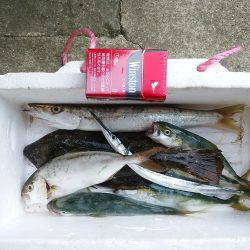 プラグオンリーで！