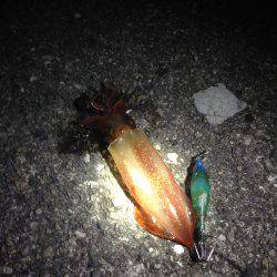 ケンサキチャレンジ