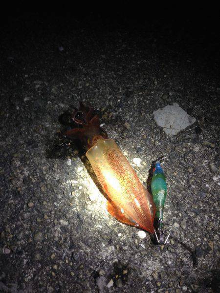 ケンサキチャレンジ