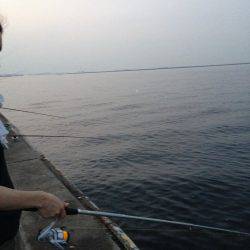 嫁さんも大満足の釣果