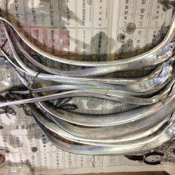 お盆、タチウオ好調