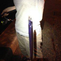 チビ太刀だらけ