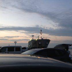 チビ太刀幼稚園、太ったアジで大満足