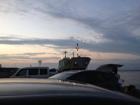 チビ太刀幼稚園、太ったアジで大満足