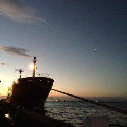 タチウオはどこに？？