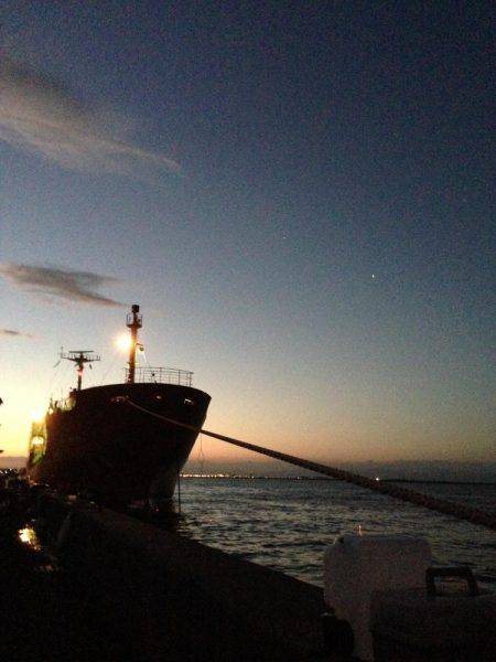 タチウオはどこに？？