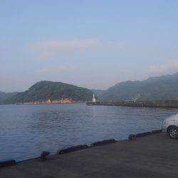 サワラ釣れました