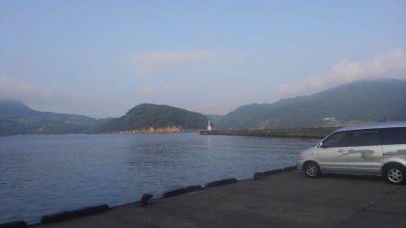 サワラ釣れました