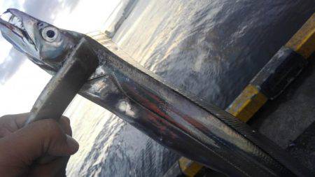 今年初の刀狩！