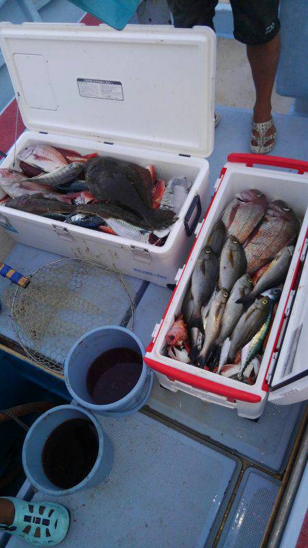 伊勢志摩ジギング